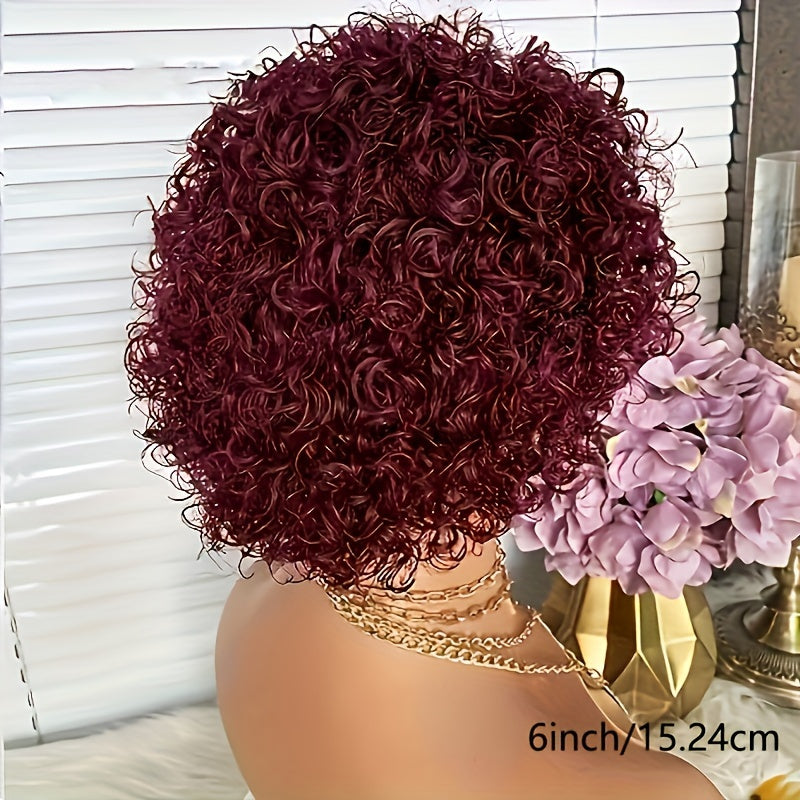 6inch Pixie Cut Wig Short Curly Lace Front Human Hair Wigs for  Women Brazilian Water Wave 13x1 Transparent Lace Wigs (1B# 99J  T1B/99J)