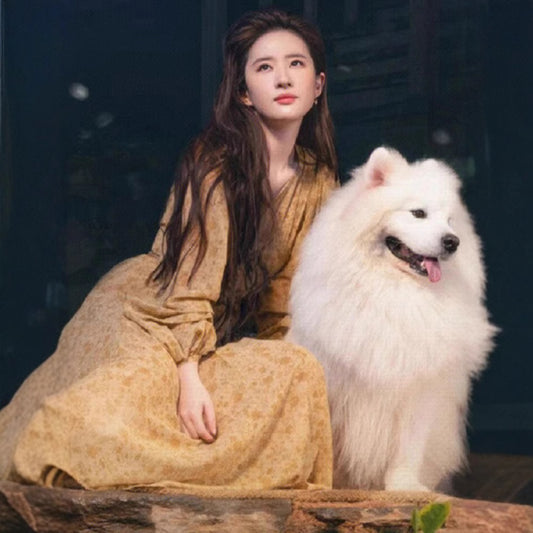2025 Go to a windy place Liu Yifei same floral dress women's  spring new long-sleeved printed spring dress